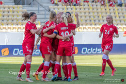 Celebration of Denmark's first goal in the friendly match Denmark vs. Australia at "Casa Arena" Stadium in Horsens, Denmark