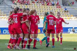 Celebration of Denmark's first goal in the friendly match Denmark vs. Australia at "Casa Arena" Stadium in Horsens, Denmark
