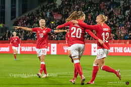 Celebration of a goal in the World Cup qualifier Denmark vs Bosnia and Herzegovina at Energi Viborg Arena in Viborg, Denmark