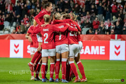 Celebration of a goal in the World Cup qualifier Denmark vs Bosnia and Herzegovina at Energi Viborg Arena in Viborg, Denmark