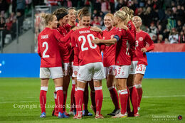 Celebration of a goal in the World Cup qualifier Denmark vs Bosnia and Herzegovina at Energi Viborg Arena in Viborg, Denmark
