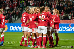 Celebration of a goal in the World Cup qualifier Denmark vs Bosnia and Herzegovina at Energi Viborg Arena in Viborg, Denmark