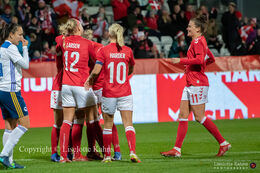 Celebration of a goal in the World Cup qualifier Denmark vs Bosnia and Herzegovina at Energi Viborg Arena in Viborg, Denmark