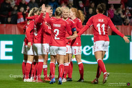 Celebration of a goal on the World Cup qualifier Denmark vs Bosnia and Herzegovina at Energi Viborg Arena in Viborg, Denmark