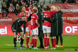 Celebration of the end result, 8-0 to Denmark, in the World Cup qualifier Denmark vs Bosnia and Herzegovina at Energi Viborg Arena in Viborg, Denmark