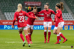 Celebration of Denmark's first goal in the World Cup qualifier Denmark vs Bosnia and Herzegovina at Energi Viborg Arena in Viborg, Denmark