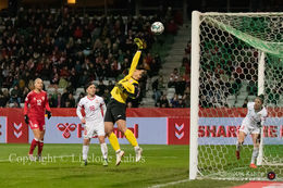 WMS NT, Denmark vs. Georgia. Viborg 2019. A situation in front of Georgia's goal that describes the match very well