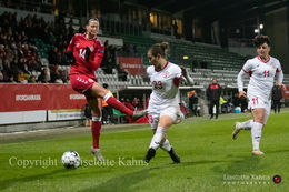 WMS NT, Denmark vs. Georgia. Viborg 2019. Nikoline Sørensens shot is blocked