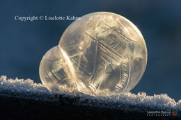 Frozen soap bubble illuminated by the rising sun