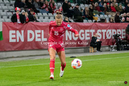 Women's Nations League match, Denmark vs Wales at Viborg Stadium, Denmark
