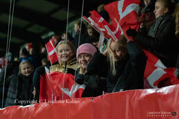 Excited fans in the stands in the World Cup qualifier Denmark vs Russia at Energi Viborg Arena in Viborg, Denmark