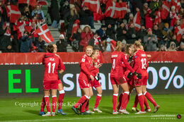 Celebration of a goal in the World Cup qualifier Denmark vs Russia at Energi Viborg Arena in Viborg, Denmark