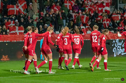 Celebration of a goal in the World Cup qualifier Denmark vs Russia at Energi Viborg Arena in Viborg, Denmark