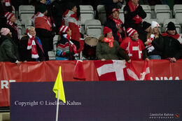 The Fan Club for "Kvindelandsholdet" in the World Cup qualifier Denmark vs Russia at Energi Viborg Arena in Viborg, Denmark