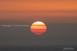An epic sunset, highly influenced by red sand-dust from the Sahara, causing the "painted layer" effect. Shot @Nr. Lyngby, Vendsyssel, Denmark