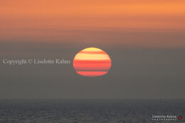 An epic sunset, highly influenced by red sand-dust from the Sahara, causing the "painted layer" effect. Shot @Nr. Lyngby, Vendsyssel, Denmark