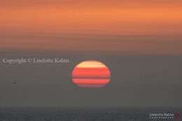 An epic sunset, highly influenced by red sand-dust from the Sahara, causing the "painted layer" effect. Shot @Nr. Lyngby, Vendsyssel, Denmark