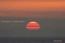 An epic sunset, highly influenced by red sand-dust from the Sahara, causing the "painted layer" effect. Shot @Nr. Lyngby, Vendsyssel, Denmark