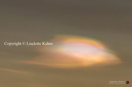 A rare (but very fascinating) sight of Polar stratospheric clouds (PCSs) in Vendsyssel, Denmark