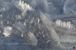 Spectacular "rime art" after a cold night during Christmas 2020