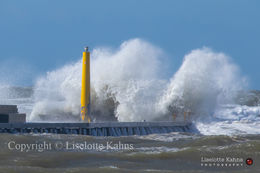 Spring gale force, Denmark