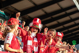 Happy fans in the stands in the World Cup qualifier Denmark vs Montenegro at Viborg Stadium, Denmark