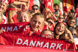 Happy fans in the stands in the World Cup qualifier Denmark vs Montenegro at Viborg Stadium, Denmark