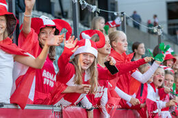 Happy fans in the stands in the World Cup qualifier Denmark vs Montenegro at Viborg Stadium, Denmark