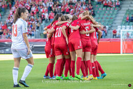Goal celebration in the World Cup qualifier Denmark vs Montenegro at Viborg Stadium, Denmark