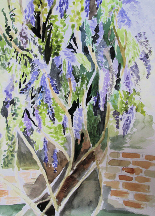 Annie Bovill
