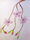 Water Solluble Pencils