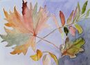 Annie Bovill
