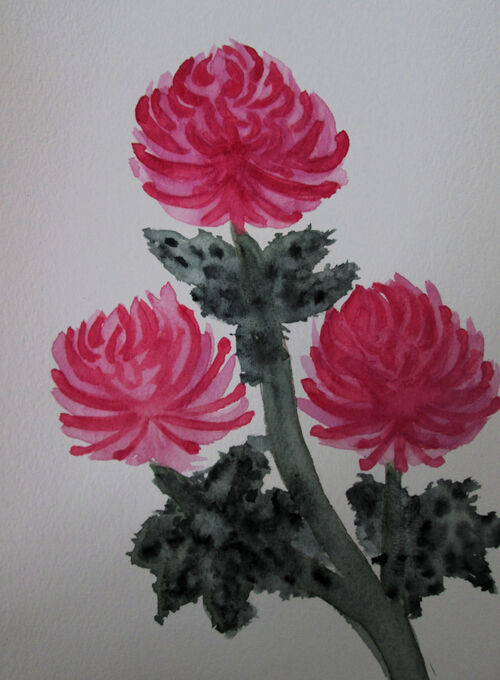 Linda Maidment