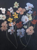 Beryl Tyler