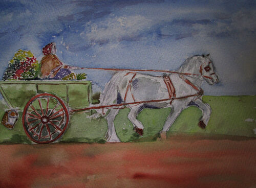 Barbara Miles Griffiths