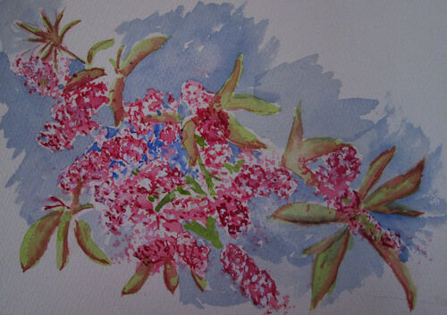 Barbara Miles Griffiths