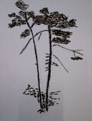 Pen Drawing