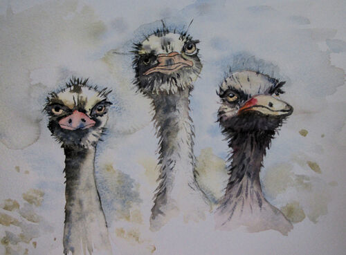 Sue Kirby