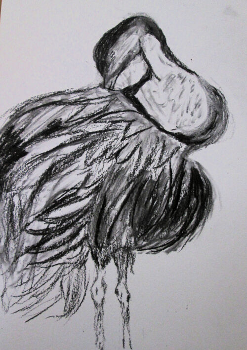 Beryl Tyler