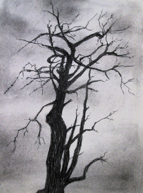 Bryan Smith