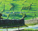 Swaledale, Yorkshire