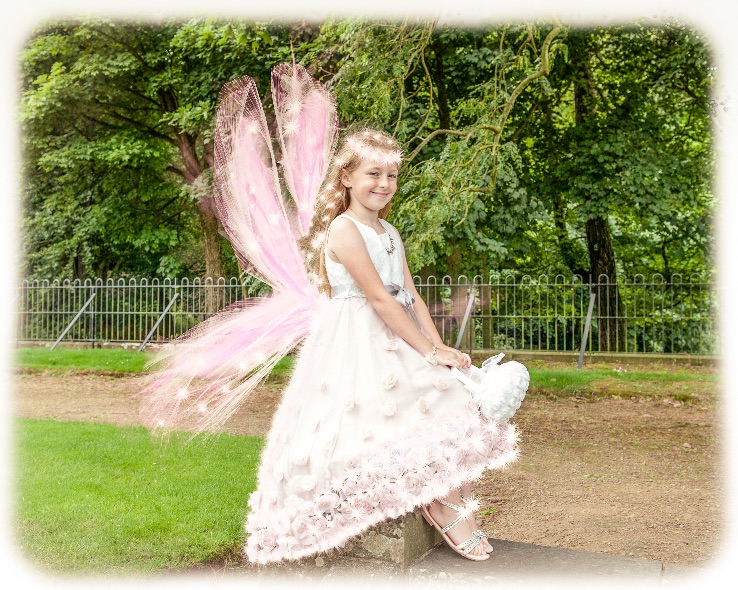 9055-Fairy