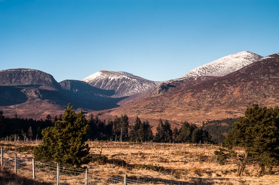 Mourne Mountains -9843