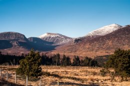 Mourne Mountains -9843