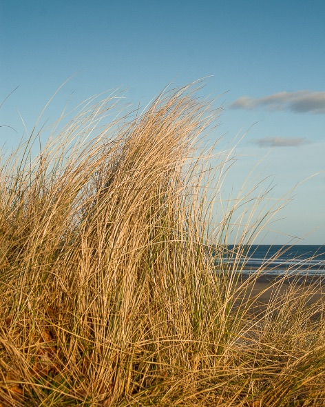 Murlough Beach - 0120