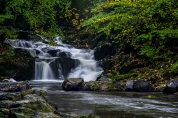 Crumlin Glen Waterfall - 5970