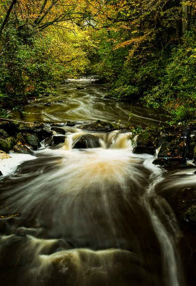Camlin River, Crumlin Glen - 5988