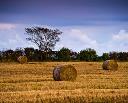 Hay Bales - 3927