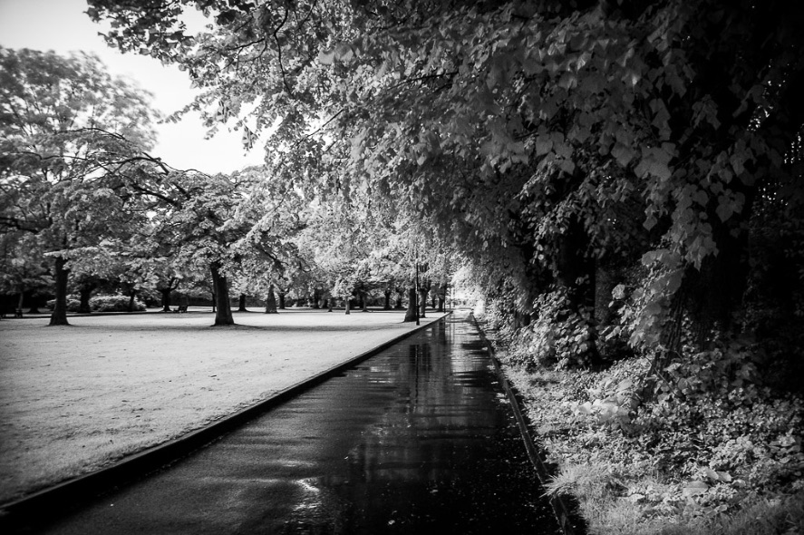 Shaftesbury Park, Carrickfergus (Infrared) - 4736