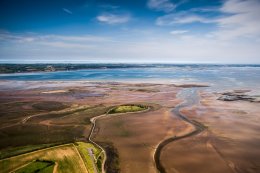 Island Hill, Strangford Lough - 9985